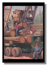 Tree trunks craned for sale  CROYDON