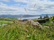 English traditional longbow for sale  ISLE OF SKYE
