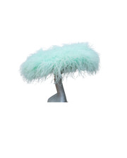 Mint ostrich feather for sale  SEATON