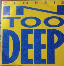 dischi vinili deep house usato  Ornavasso