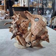 Vintage sea shell for sale  BLAYDON-ON-TYNE