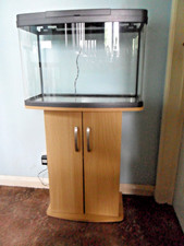 Love fish panorama for sale  HOCKLEY