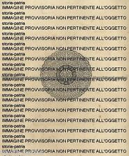 Caccia cacciatore cani usato  Italia