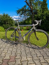 Rosa merak italienische gebraucht kaufen  Kiefersfelden