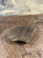 Pierre fossile feuille d'occasion  Claira