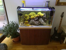 Meerwasser aquarium komplett gebraucht kaufen  Hilden