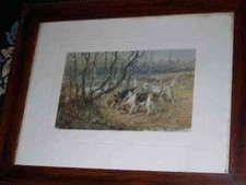 Antique beagle hunting for sale  WARRINGTON