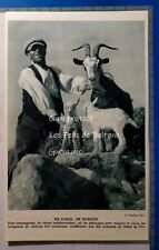 Sheberger corsica goats d'occasion  Expédié en Belgium