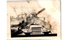 1945 Troféu de Caça Veado Willys MB Jeep Fotografia Rural Americana comprar usado  Enviando para Brazil