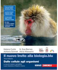 Libri scolastici scuola usato Libri scolastici scuola usato  Torino