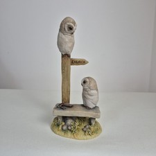 Teviotdale barn owls for sale  COLCHESTER