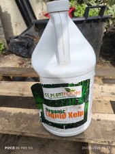 Plant foods liquid for sale  BLACKPOOL