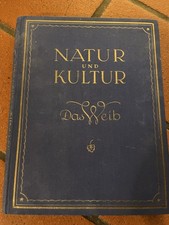Antikes kultur weib gebraucht kaufen  Wörth
