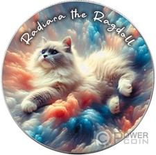 Radiara the ragdoll usato  Ciampino