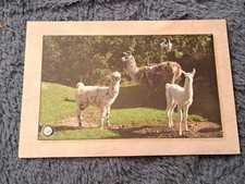 lama 2 gebraucht kaufen  Hamburg