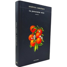 Romanzo pensione eva usato  Roma