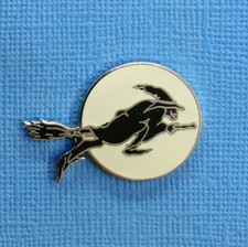 Pin sorcière vol d'occasion  Alès
