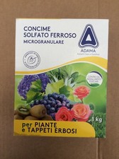 Concime solfato ferroso usato  Fasano