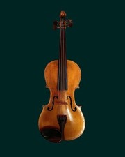 Violino antico usato  Monterchi