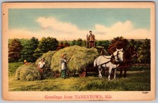 Vtg linen postcard for sale  Wichita