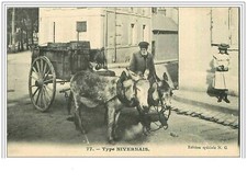 58.type nivernais d'occasion  France