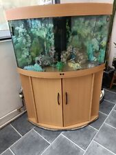 Juwel corner fish for sale  ST. IVES