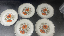 meakin poppy for sale meakin poppy for sale MIDDLESBROUGH
