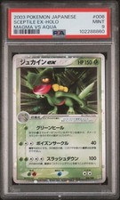 Sceptile 006 holo usato  Pesaro