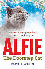 Alfie doorstep cat for sale  STOCKPORT