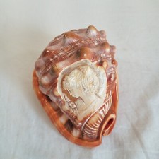 Cameo carved conch for sale  Stillwater