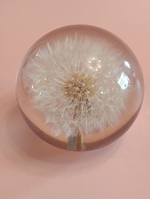 Collectible resin hafod for sale  BRIGHOUSE