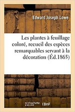 Plantes feuillage coloré d'occasion  Expédié en Belgium