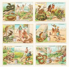 Liebig sammelbilder giftschlan gebraucht kaufen  Seubersdorf