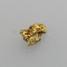 Goldnugget gramm nome gebraucht kaufen  Bielefeld