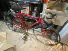 Bianchi forza road for sale  Rochester