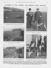 Hare coursing border for sale  GLASGOW