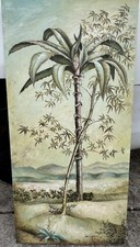 Tropical palm tree for sale  Cape Coral