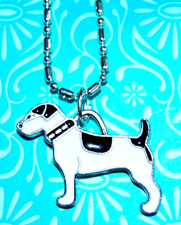 Jack russell terrier for sale  Springfield