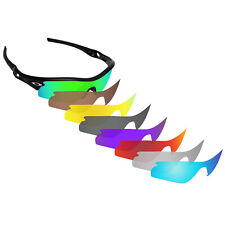 Hawkry polarized replacement gebraucht kaufen  Langenlonsheim