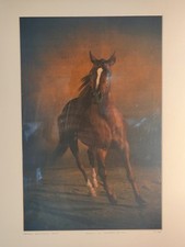 Photo cheval yann d'occasion  Saint-Jean-Bonnefonds