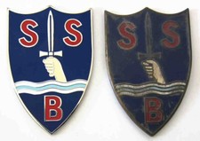 Sbs cap badge for sale  BEDFORD