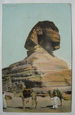 Sphinx locals camels for sale  Willmar
