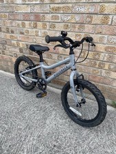 Ridgeback mx16 kids for sale Ridgeback mx16 kids for sale  FROME