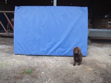 Large climbing crash for sale Large climbing crash for sale  GRANTHAM