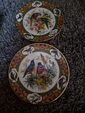1994 bradford papageien for sale  NORTHAMPTON