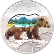 Bear into the d'occasion  Strasbourg-