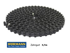 Hörmann ecostar liftronic gebraucht kaufen  Deutschland
