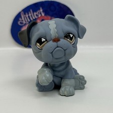 Bulldog dog 668 for sale  Alexandria