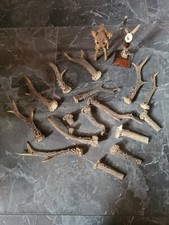 Rehstangen rehgeweih rehbocke gebraucht kaufen  Ilmenau-Gehren, Möhrenbach, Jesuborn