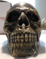 Huge prop skull for sale  Newport News